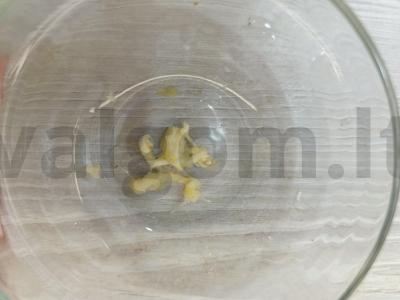 Aštrus grietinės padažas su agurku Žingsnis 1