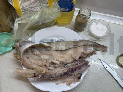 Menkių filė tešloje per 15 minučių Žingsnis 1