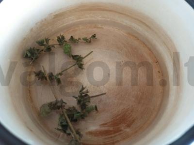 Gaivus braškių džinas Žingsnis 1