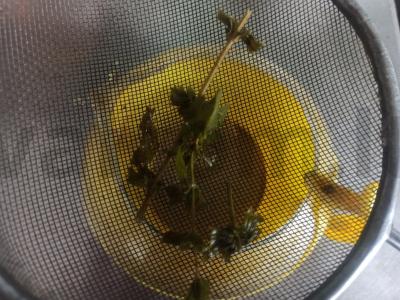 Gaivus braškių džinas Žingsnis 2