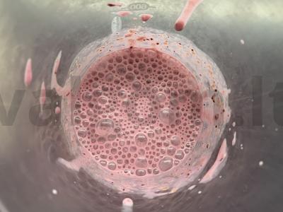 Šaltiems gėrimams su juodaisiais serbentais ir grikių dribsniais Žingsnis 4