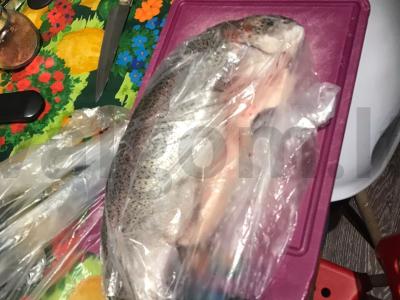 Nuostabi želė žuvis Žingsnis 1