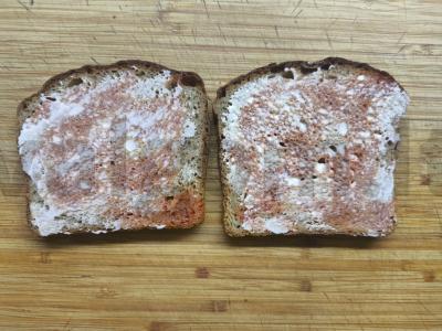 Karšti sumuštiniai su kumpiu ir sūriu per 15 minučių Žingsnis 2