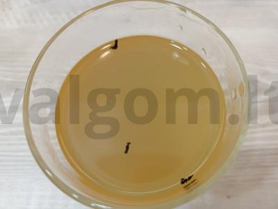 Arbatos gėrimas su sultimis pagrindine nuotrauka