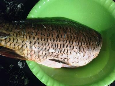 Keptas karpis pipirų-limono marinate Žingsnis 1