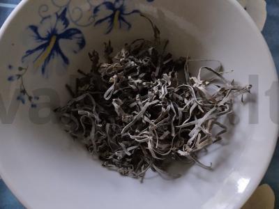 Salotos su jūros kopūstais, avokadu, mocarela ir pomidorais Žingsnis 3