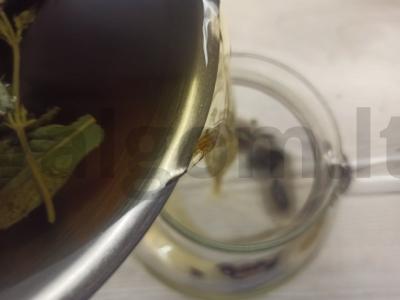 Raudonasis arbata su mėta ir čiobreliais Žingsnis 3