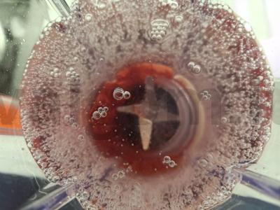 Limonadas su laimu ir uogiene Žingsnis 2