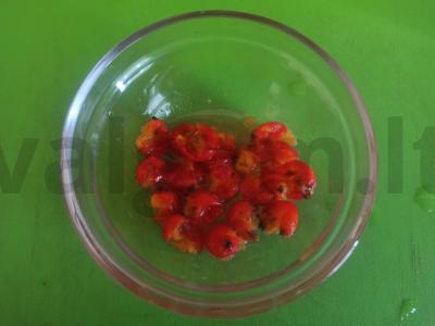 Gėrimas su šermukšnio uogomis, imbieru ir juodųjų serbentų lapais Žingsnis 3