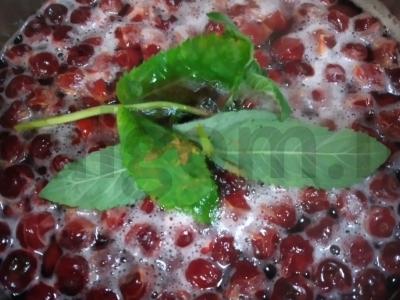 Vyšnių kompotas su mėtomis ir cinamonu Žingsnis 3