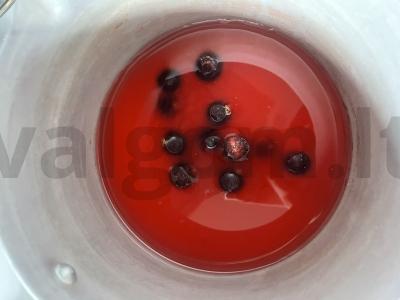 Užšaldytos uogų želė juostelės Žingsnis 3