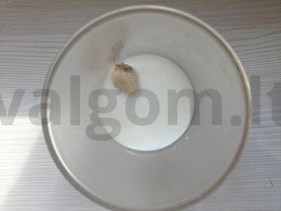 Pieninis kokteilis su braškių sirupu Žingsnis 2