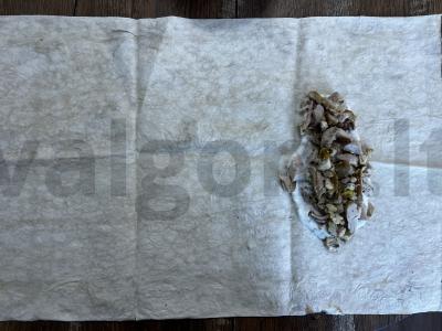 Namų šašlykas su vištiena ir grietinės-garstyčių padažu Žingsnis 3