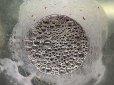 Juodųjų serbentų ir bananų pieno kokteilis Žingsnis 4