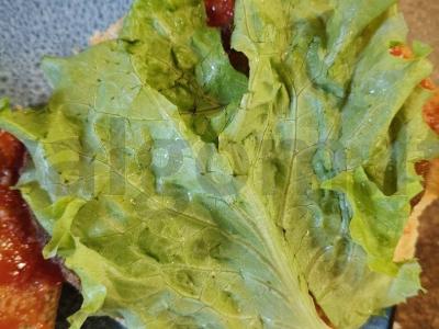 Greitas naminis burgeris Žingsnis 4