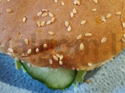 Greitas naminis burgeris pagrindine nuotrauka