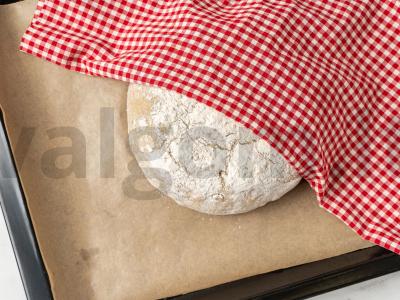 Duona su riešutais ir džiovintomis slyvomis Žingsnis 6