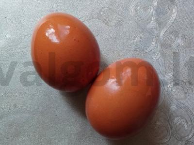 Salotos su žaliais žirneliais ir tunu Žingsnis 6