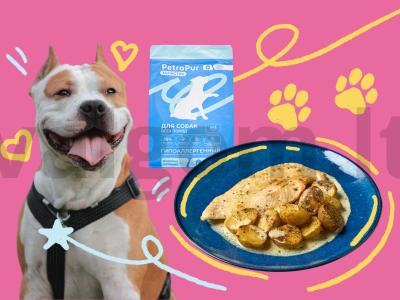 Pora vakarienė iš kalakutienos šuniui ir šeimininkui pagrindine nuotrauka