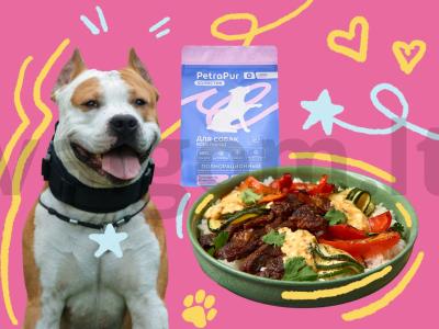 Porinis vakarienė iš jautienos šuniui ir šeimininkui pagrindine nuotrauka