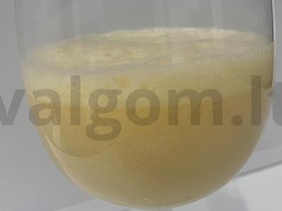 Kokteilis su vaniliniu sirupu ir ledais pagrindine nuotrauka