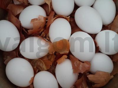 Velykiniai kiaušiniai „Krašenkos“ Žingsnis 4