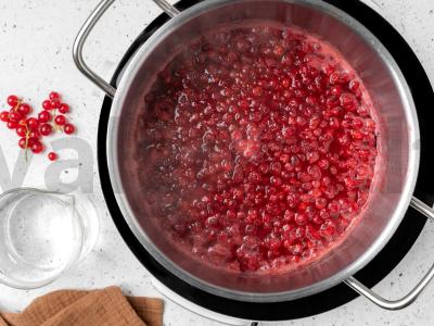 Raudonųjų serbentų kurdas Žingsnis 1