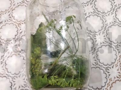 Traškūs šaltai marinuoti agurkai Žingsnis 1