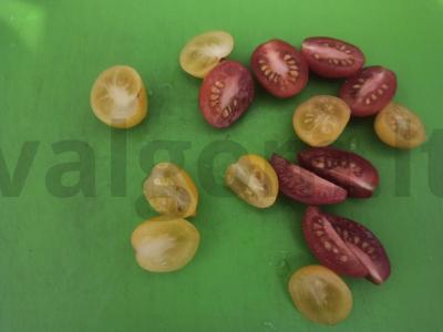 Šiltas salotas su cukinija, rūgštynėmis, vyšniniais pomidorais ir čipsais Žingsnis 2