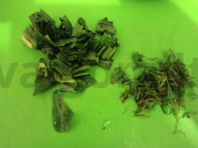 Šiltas salotas su cukinija, rūgštynėmis, vyšniniais pomidorais ir čipsais Žingsnis 3