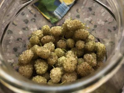 Vyšnių ir šilkmedžio kompotas Žingsnis 4