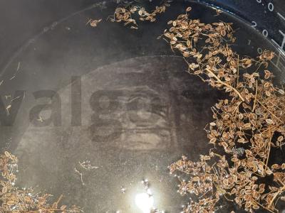 Sultingi ir aromatingi krevetės Žingsnis 1