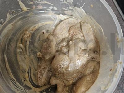 Traškūs vištienos nagetai Žingsnis 3