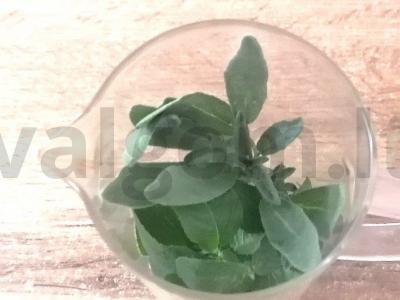 Vitaminų arbata su šermukšniu Žingsnis 1