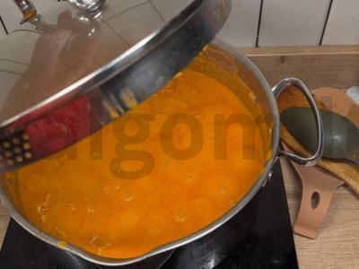 Kari vištiena su graikišku jogurtu Žingsnis 6