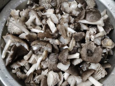 Marinuoti grybai žiemai Žingsnis 1