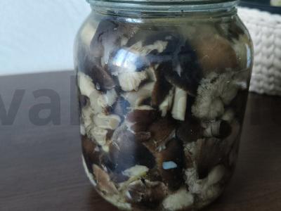 Marinuoti grybai žiemai Žingsnis 7