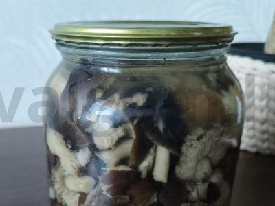 Marinuoti grybai žiemai pagrindine nuotrauka