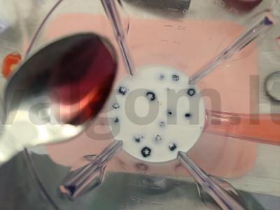 Pieninis kokteilis su mėlynėmis ir vyšnių sirupu Žingsnis 3