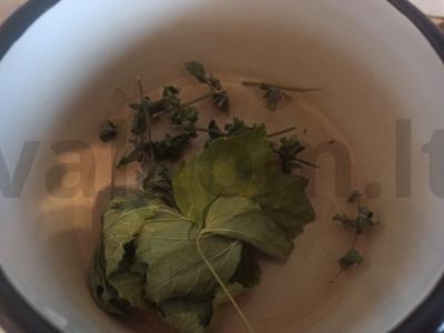 Karštas gėrimas su cikorijomis ir juodaisiais serbentais Žingsnis 1