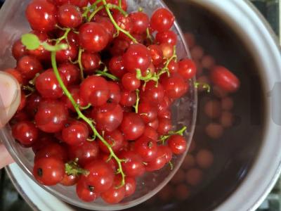 Kvapnus kompotas su vyšniomis, serbentais, braškėmis, mėtomis ir gvazdikėliais Žingsnis 1