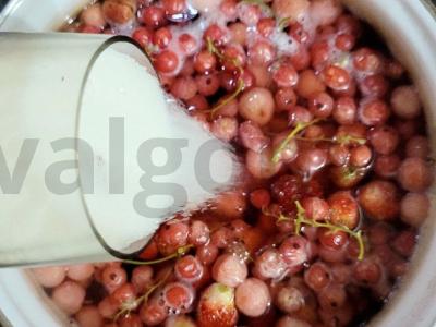 Kvapnus kompotas su vyšniomis, serbentais, braškėmis, mėtomis ir gvazdikėliais Žingsnis 3