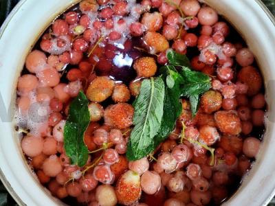 Kvapnus kompotas su vyšniomis, serbentais, braškėmis, mėtomis ir gvazdikėliais Žingsnis 4