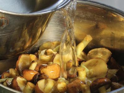 Marinuoti aliejiniai grybai žiemai su acto esencija, gvazdikėliais ir pipirais Žingsnis 2