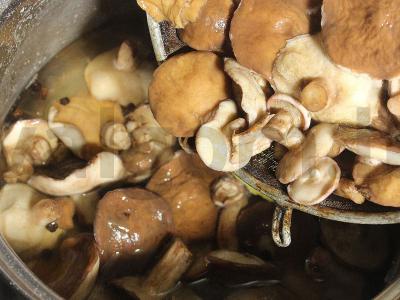 Marinuoti aliejiniai grybai žiemai su acto esencija, gvazdikėliais ir pipirais Žingsnis 4