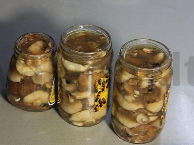 Marinuoti aliejiniai grybai žiemai su acto esencija, gvazdikėliais ir pipirais Žingsnis 6
