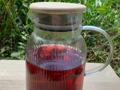 Gaivus gėrimas su serbentais, mėtomis ir estragonu pagrindine nuotrauka