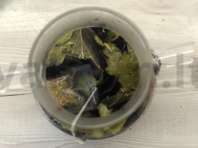 Žolelių gėrimas su ramunėlėmis ir mėlynėmis Žingsnis 3