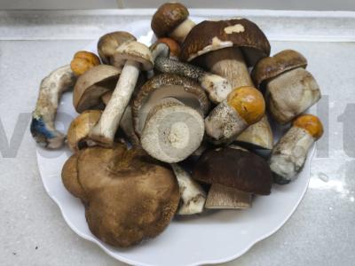 Marinuoti miško grybai Žingsnis 1