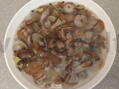 Marinuoti pievagrybiai žiemai Žingsnis 5